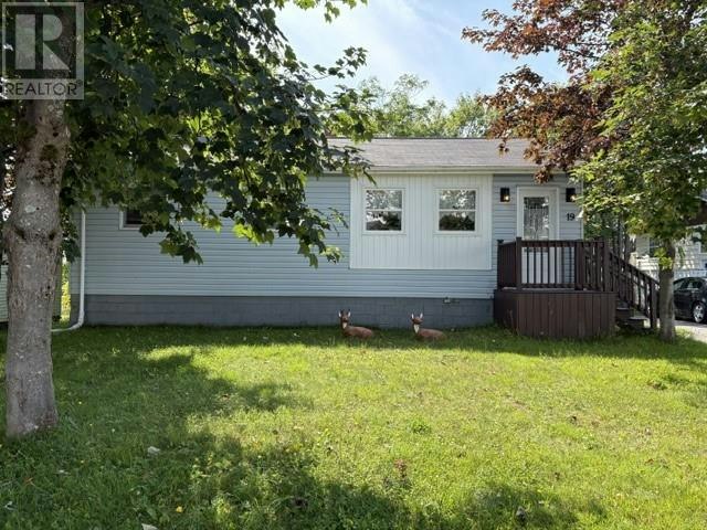 19 Atlantic Avenue, Stephenville, NL, A2N 2G1