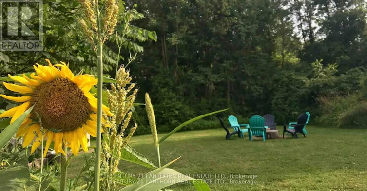 30 Stanley Street, Prince Edward County, ON, K0K 1G0 - 16