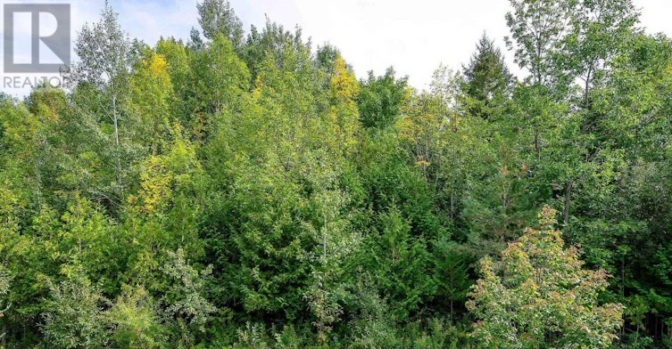 35 Conservation Way, Collingwood, ON, L9Y 0G9 - 16