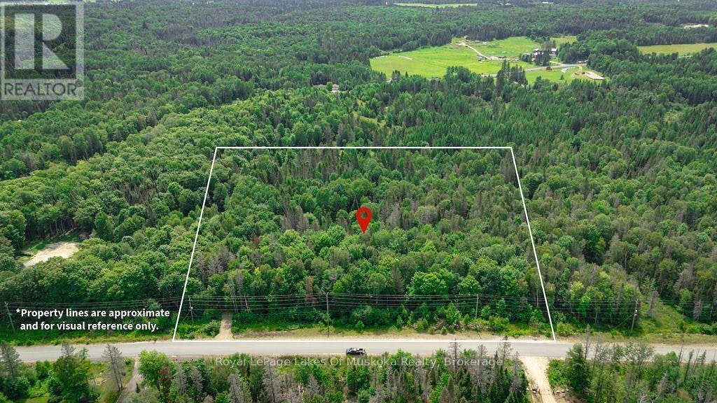 167 Pickerel Lake Road NORTH, Armour, ON, P0A 1C0