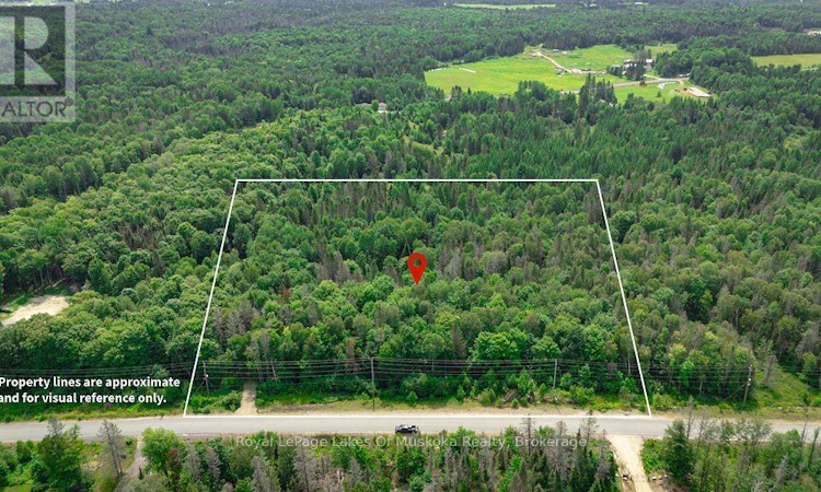 167 Pickerel Lake Road NORTH