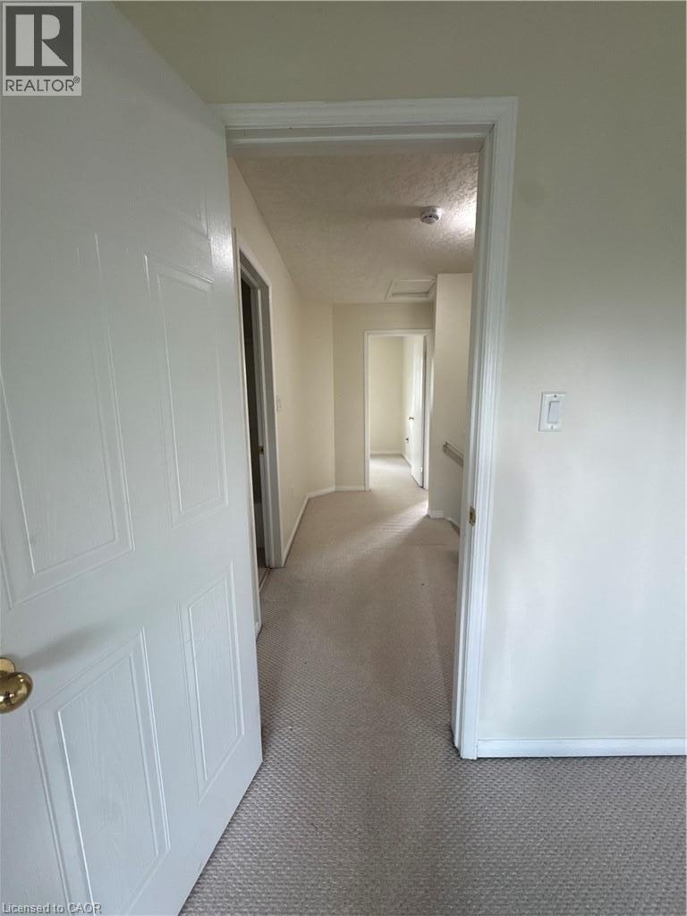 116 Walter Street, Kitchener, ON, N2G 1S4 - 18