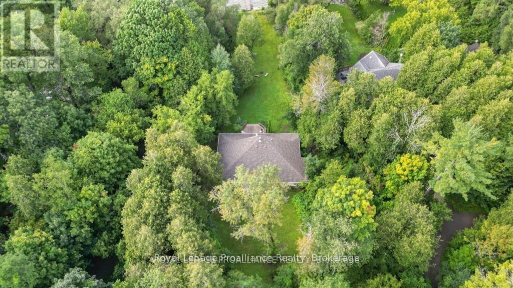 14246 Little Lake Road, Cramahe, ON, K0K 1S0 - 43