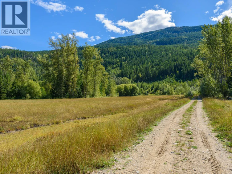 Lot A & Lot-6 Anstey Arm, Sicamous, BC, V0E 2V0 - 14