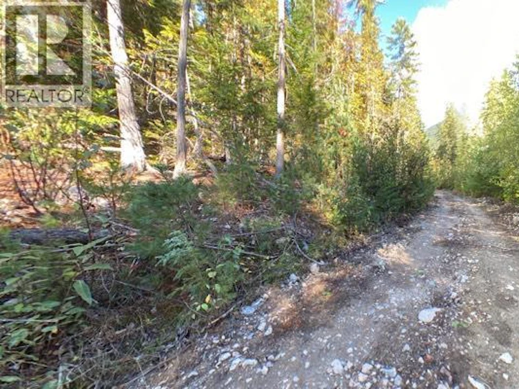 Lot A & Lot-6 Anstey Arm, Sicamous, BC, V0E 2V0 - 26