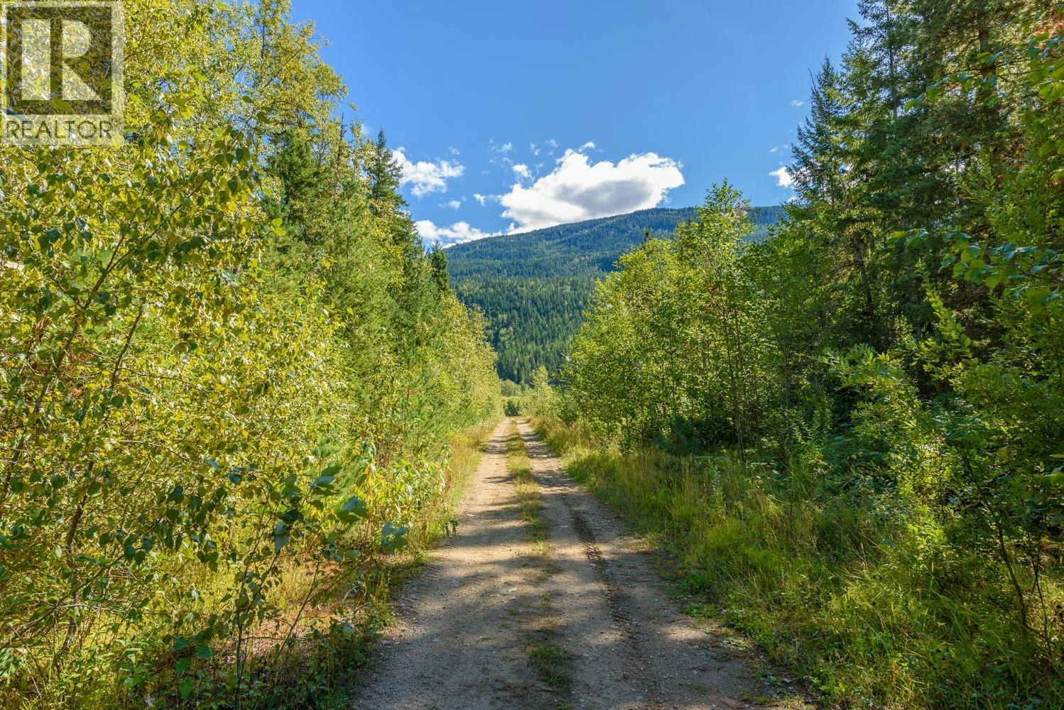 Lot A & Lot-6 Anstey Arm, Sicamous, BC, V0E 2V0 - 3