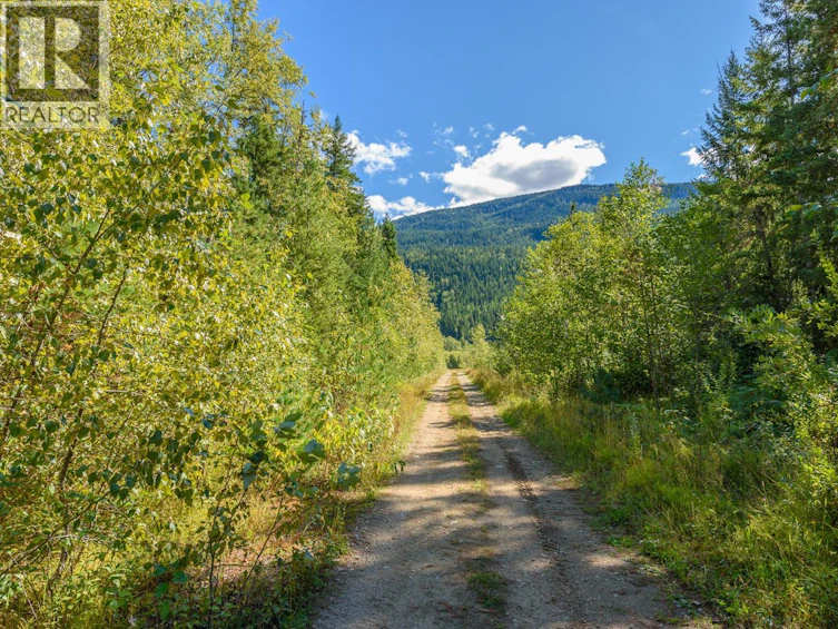Lot A & Lot-6 Anstey Arm, Sicamous, BC, V0E 2V0 - 3