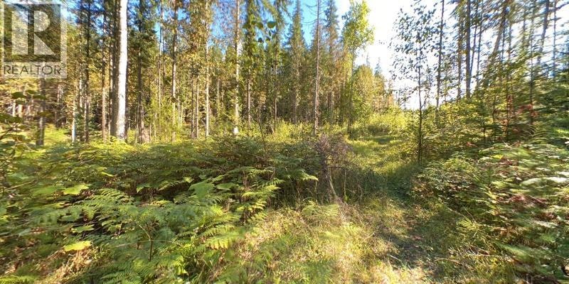 Lot A & Lot-6 Anstey Arm, Sicamous, BC, V0E 2V0 - 15