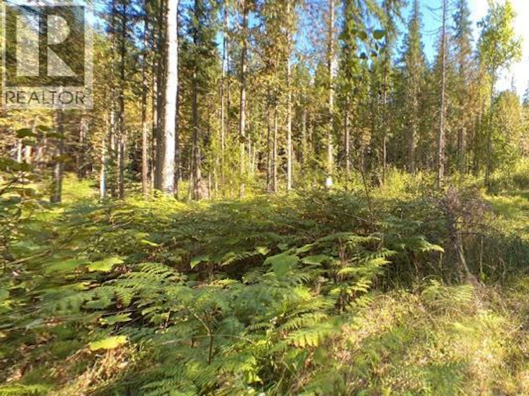 Lot A & Lot-6 Anstey Arm, Sicamous, BC, V0E 2V0 - 15