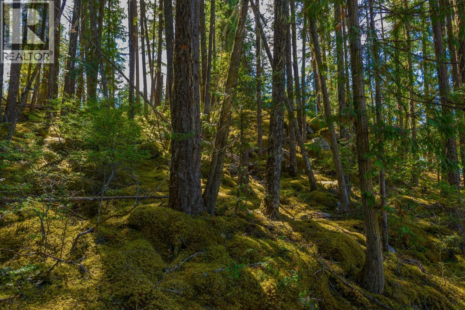 Lot A & Lot-6 Anstey Arm, Sicamous, BC, V0E 2V0 - 4