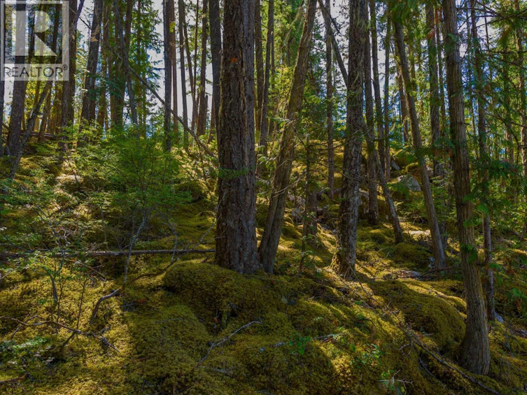 Lot A & Lot-6 Anstey Arm, Sicamous, BC, V0E 2V0 - 4