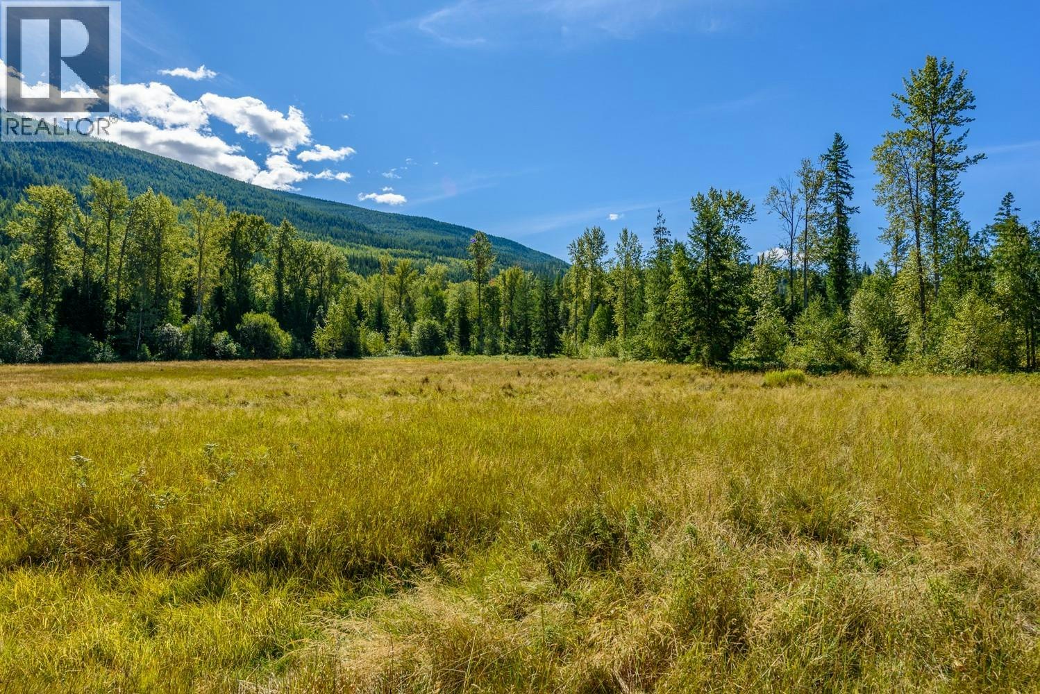 Lot A & Lot-6 Anstey Arm, Sicamous, BC, V0E 2V0 - 12