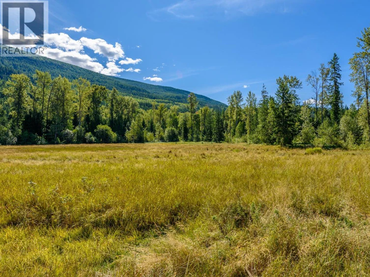 Lot A & Lot-6 Anstey Arm, Sicamous, BC, V0E 2V0 - 12