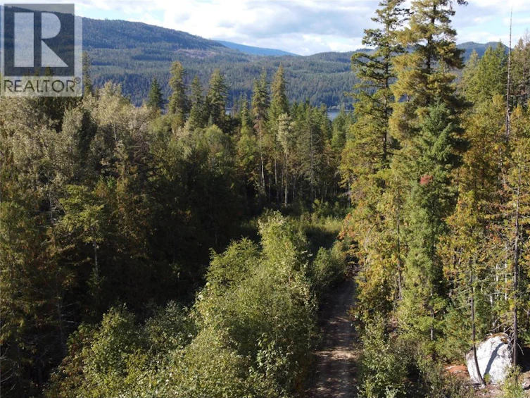Lot A & Lot-6 Anstey Arm, Sicamous, BC, V0E 2V0 - 21