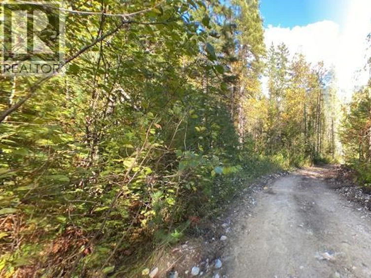 Lot A & Lot-6 Anstey Arm, Sicamous, BC, V0E 2V0 - 25