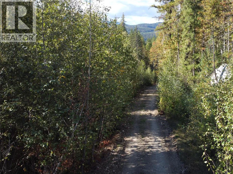 Lot A & Lot-6 Anstey Arm, Sicamous, BC, V0E 2V0 - 20