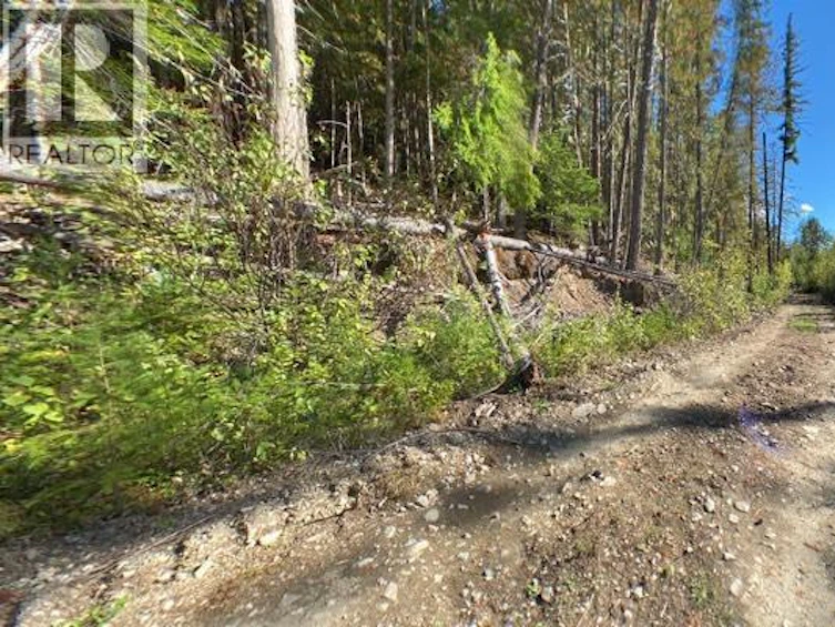 Lot A & Lot-6 Anstey Arm, Sicamous, BC, V0E 2V0 - 24
