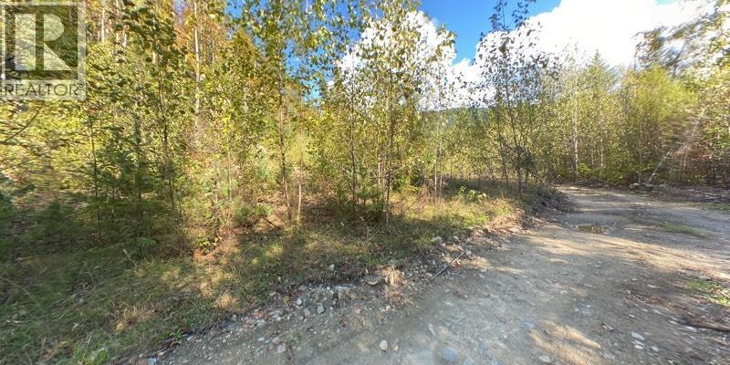 Lot A & Lot-6 Anstey Arm, Sicamous, BC, V0E 2V0 - 23