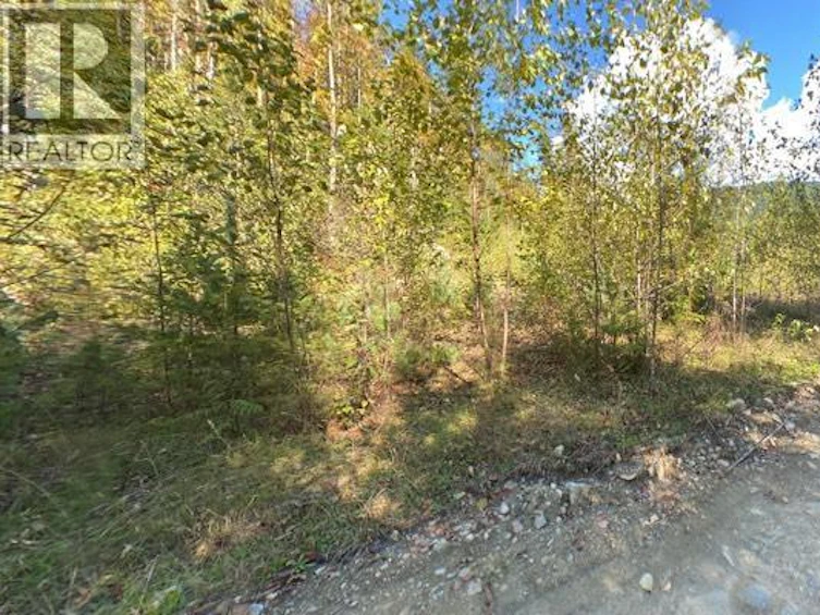 Lot A & Lot-6 Anstey Arm, Sicamous, BC, V0E 2V0 - 23