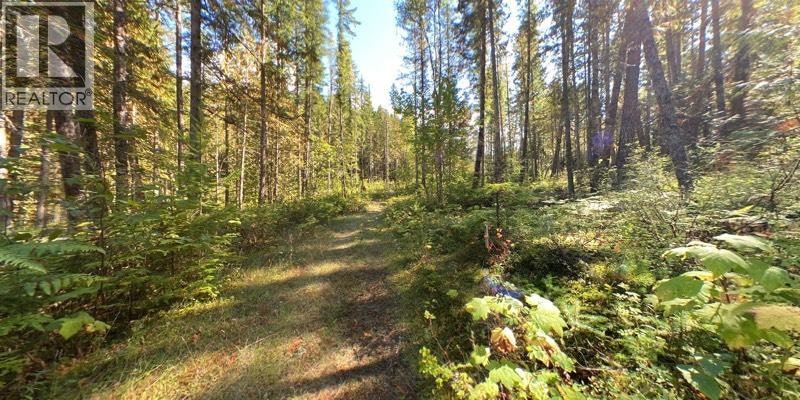 Lot A & Lot-6 Anstey Arm, Sicamous, BC, V0E 2V0 - 16