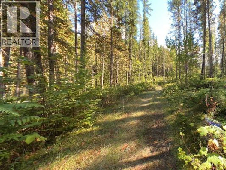 Lot A & Lot-6 Anstey Arm, Sicamous, BC, V0E 2V0 - 16