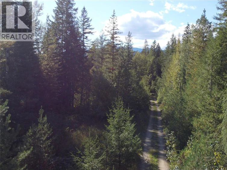 Lot A & Lot-6 Anstey Arm, Sicamous, BC, V0E 2V0 - 17