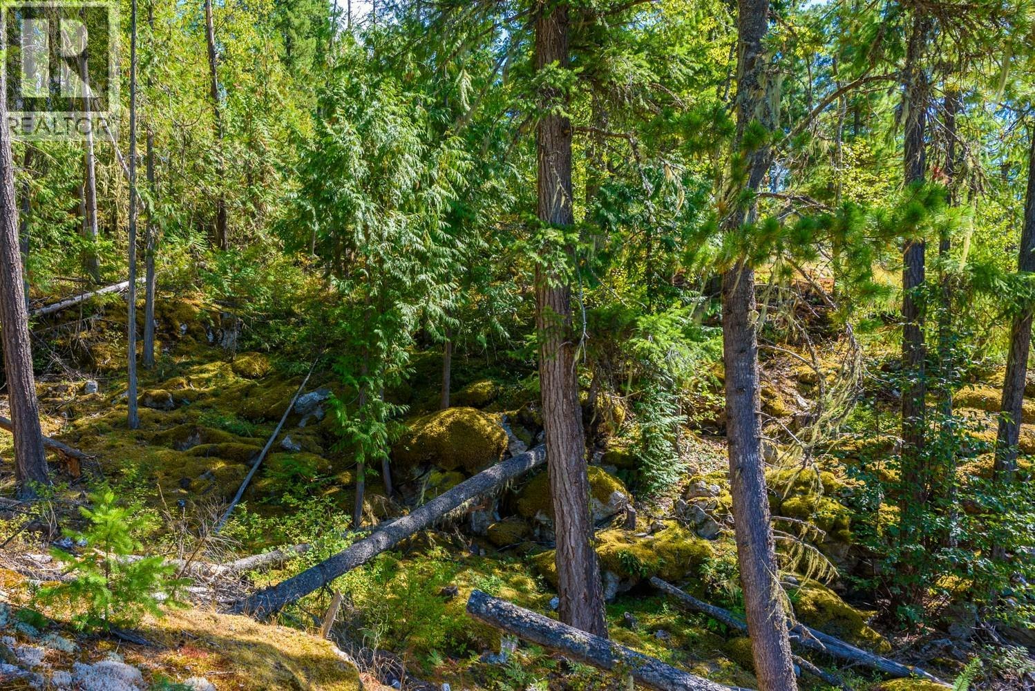 Lot A & Lot-6 Anstey Arm, Sicamous, BC, V0E 2V0 - 5