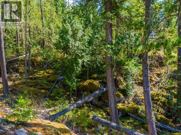 Lot A & Lot-6 Anstey Arm, Sicamous, BC, V0E 2V0 - 5