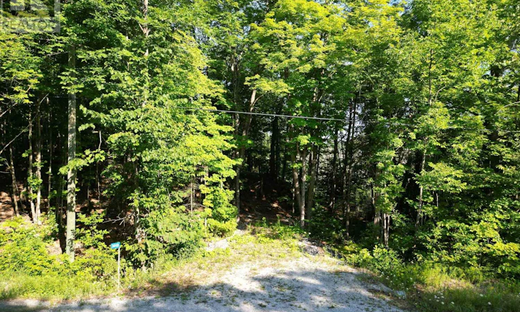 3448 Bennett Lake Road