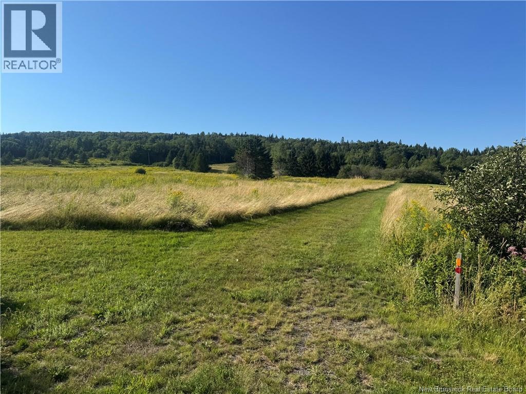 VACANT Lot Big Salmon River Road, St. Martins, NB, E5R 1K9
