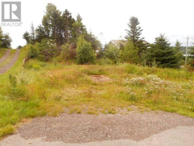 127 Bayview Road, Springdale, NL, A0J 1T0