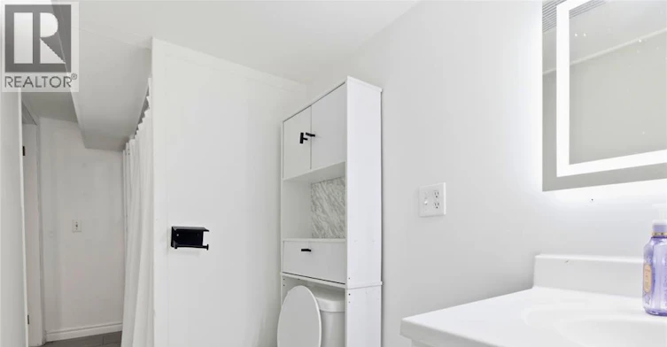 LOWER-1784 Partington, Windsor, ON, N9B 2E3 - 9