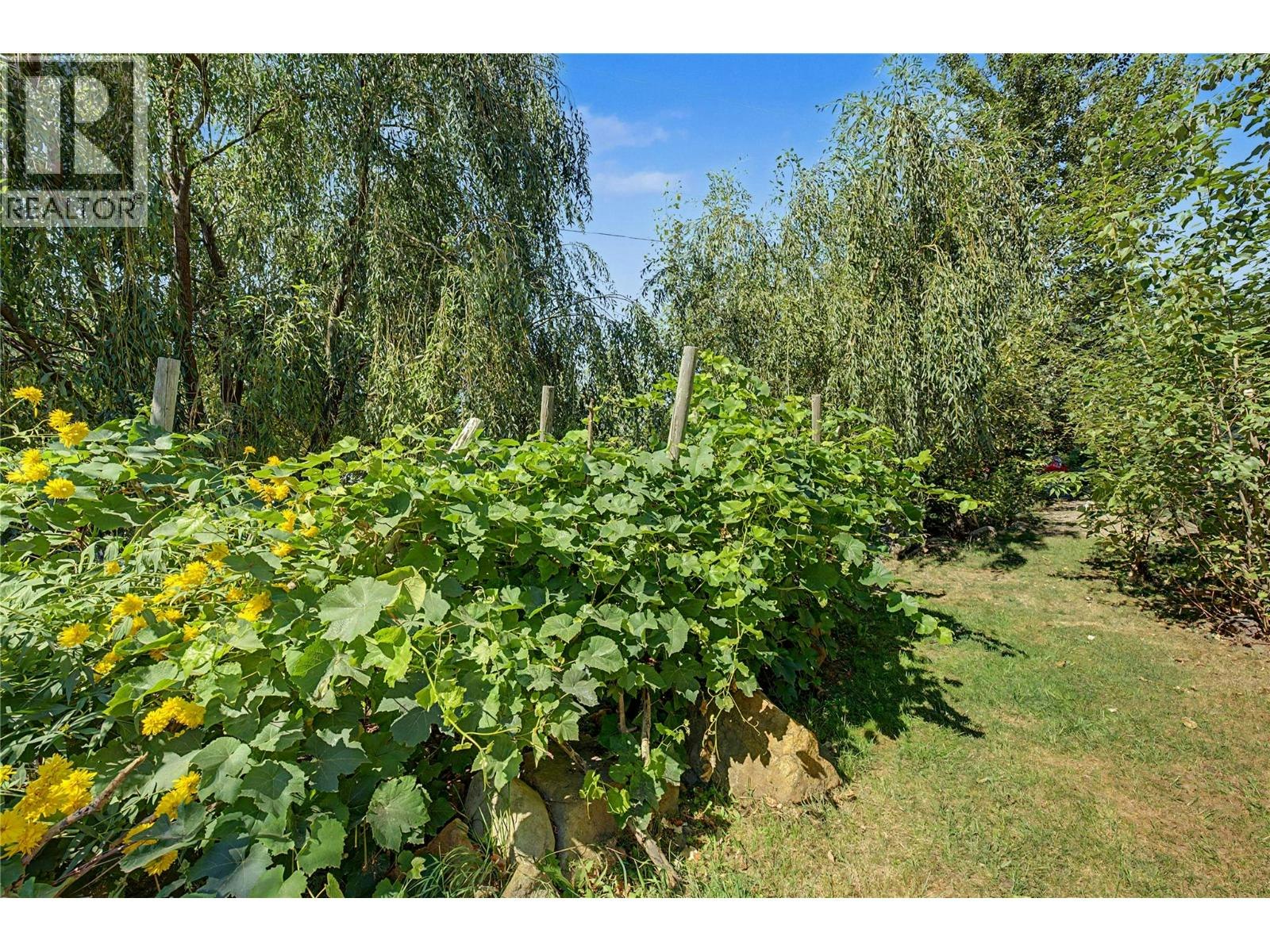 5255 Schneider Place, Tappen, BC, V0E 2X3 - 21