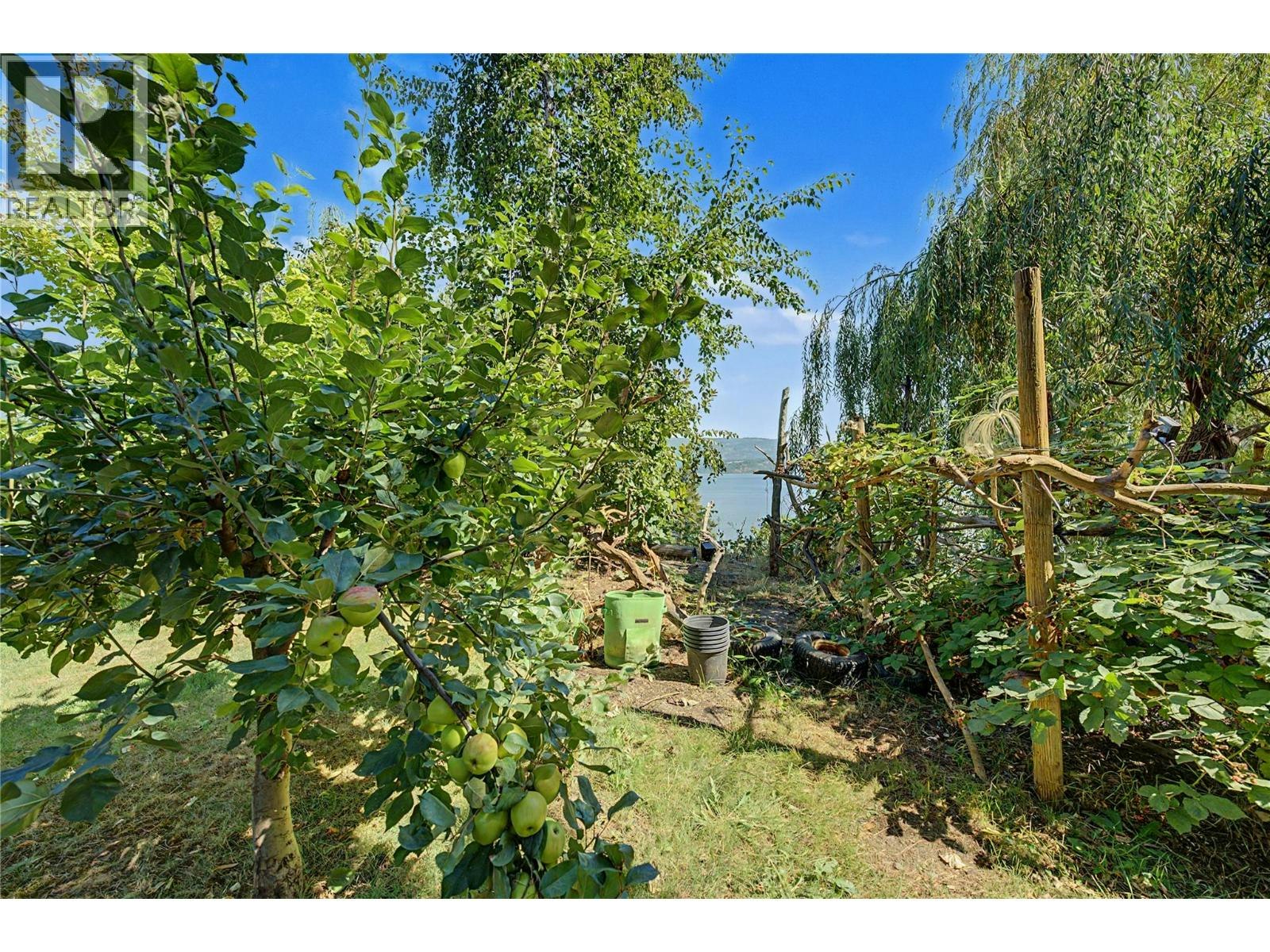 5255 Schneider Place, Tappen, BC, V0E 2X3 - 23