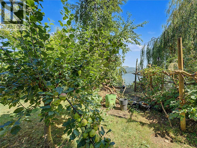 5255 Schneider Place, Tappen, BC, V0E 2X3 - 23