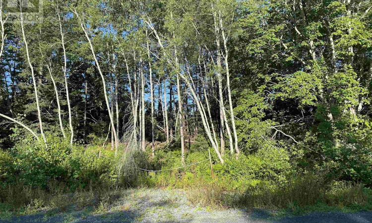 Lot-14 Eastern Shore Road