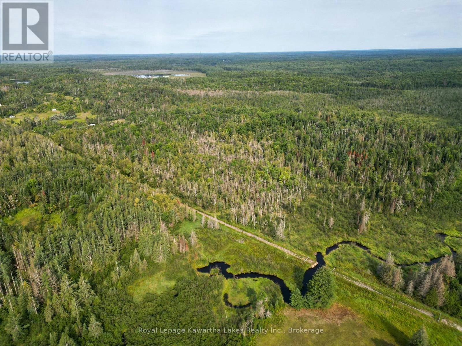 LT-4 Dutch Line Road W, Galway-Cavendish and Harvey, ON, K0M 2A0