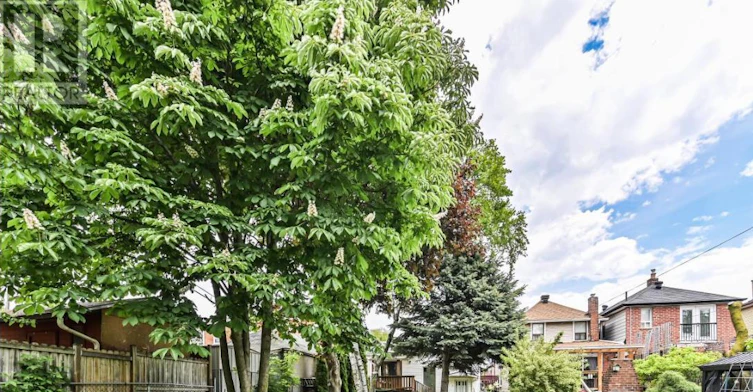 MAIN-406 Nairn Avenue, Toronto, ON, M6E 4J3 - 28