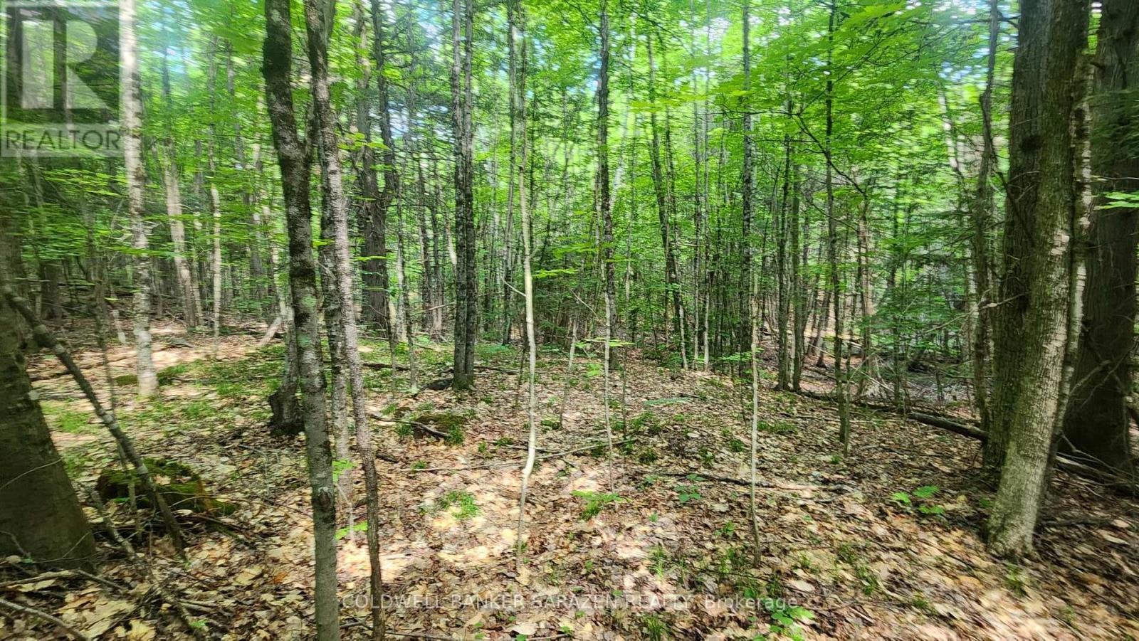 00 Canaan Road, Braeside, ON, K7V 3Z4