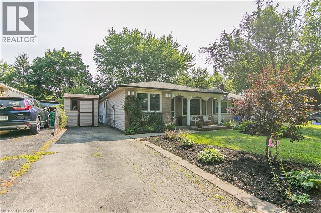 36 Amos Avenue, Waterloo, ON, N2L 5G3