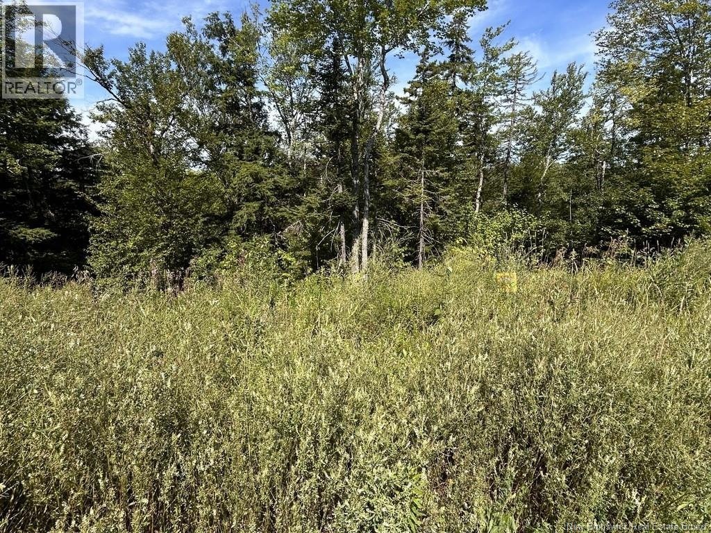 22 Orchard Avenue, Irishtown, NB, E1H 0J5