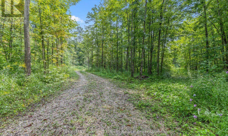 PT LT-4 Concession 8 Road