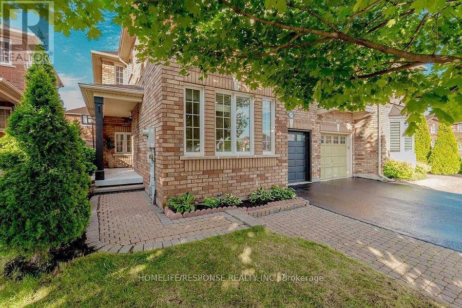 BASEMENT-5695 Jenvic Grove, Mississauga, ON, L5M 7B4