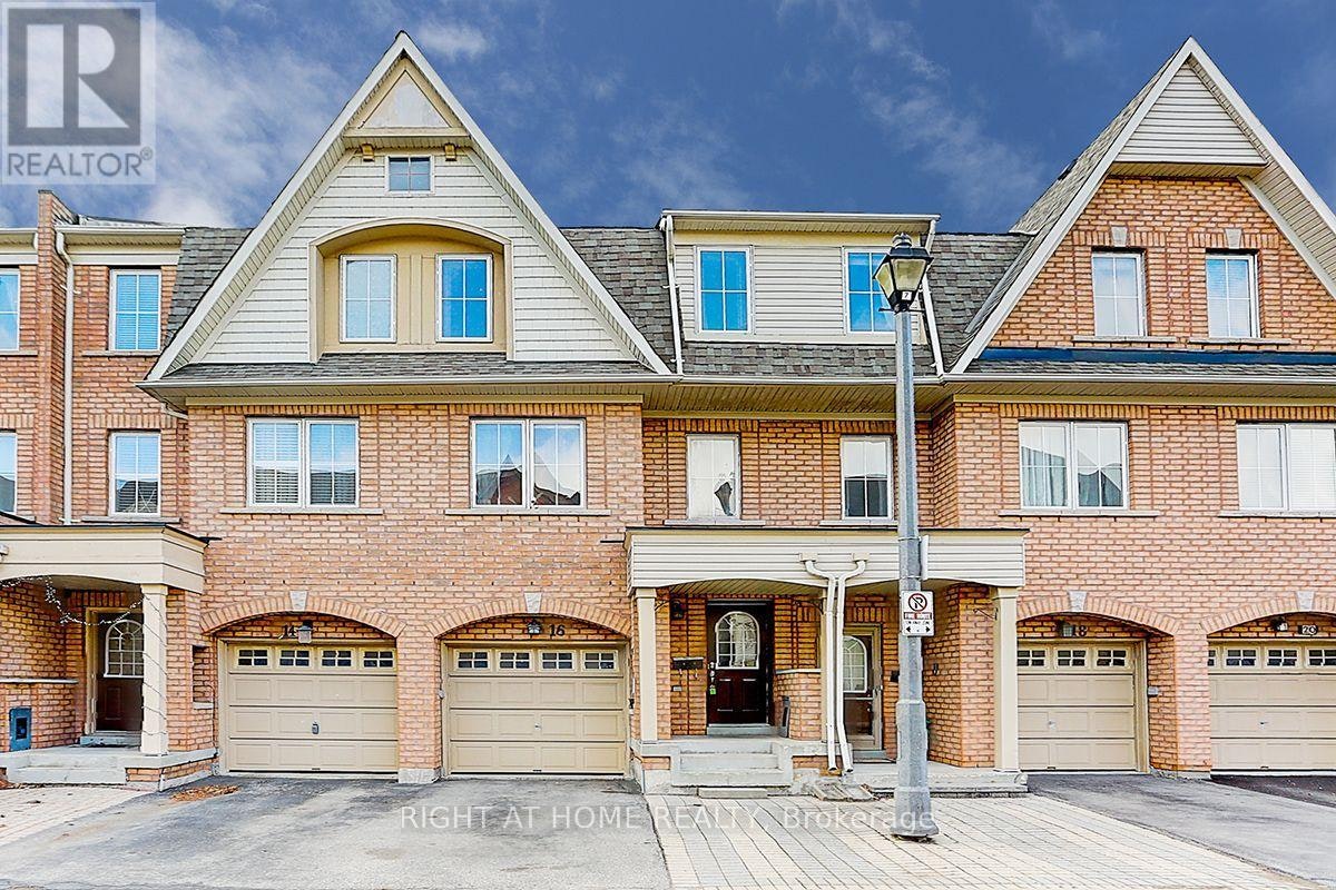 16 Pat Brooks Terrace, Toronto, ON, M1P 5G6
