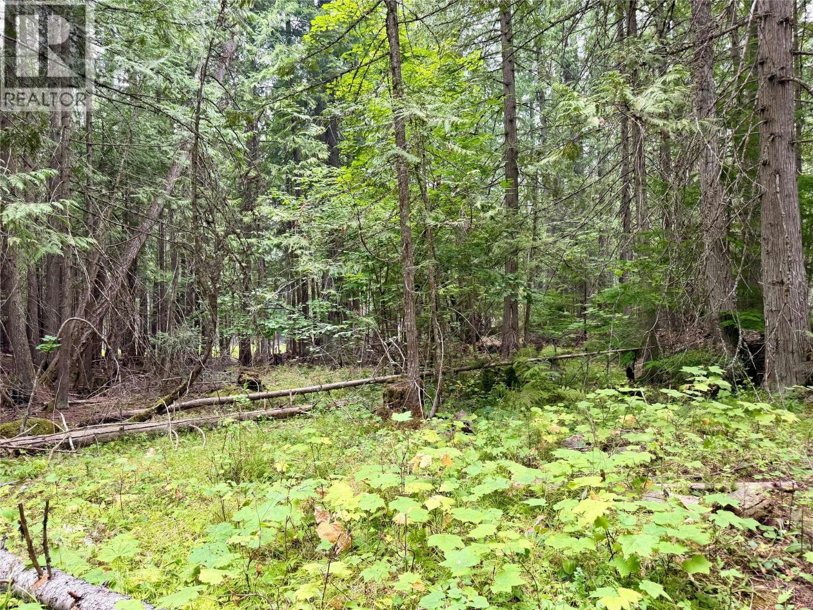 Lot E-Harrop Procter Road, Procter, BC, V1L 6R4