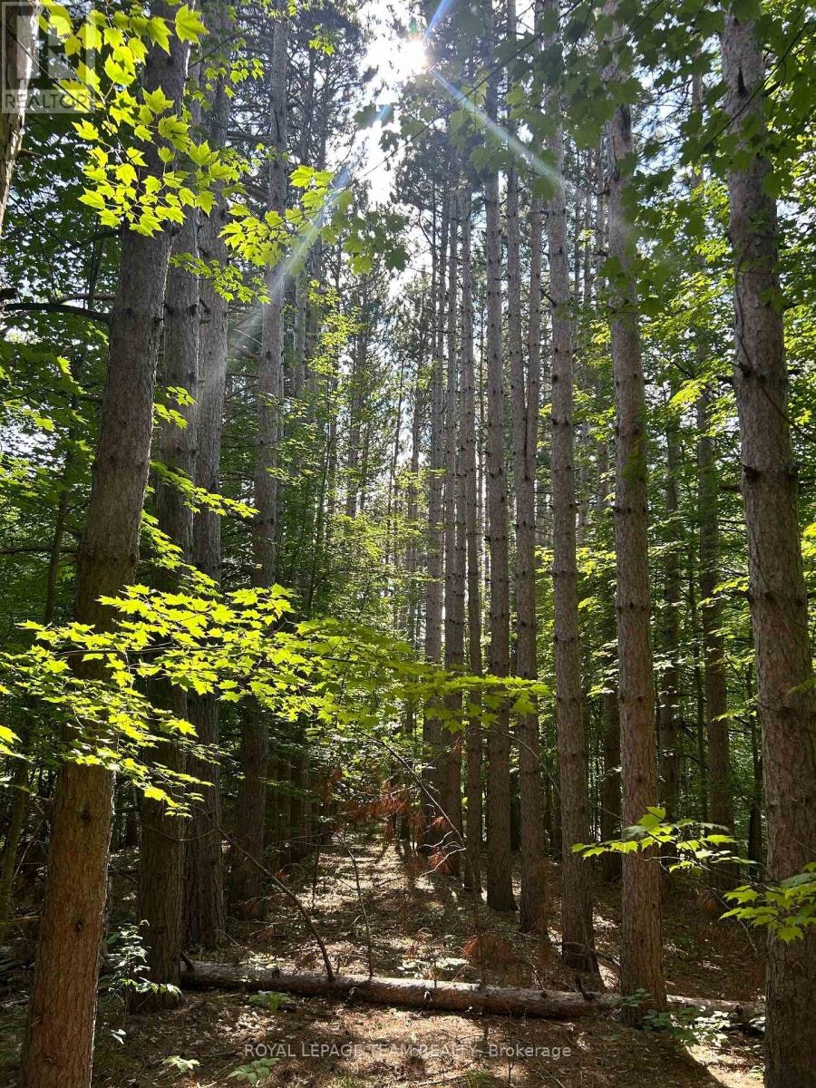 LOT-7 Pond Road, Tay Valley, ON, K0H 2B0