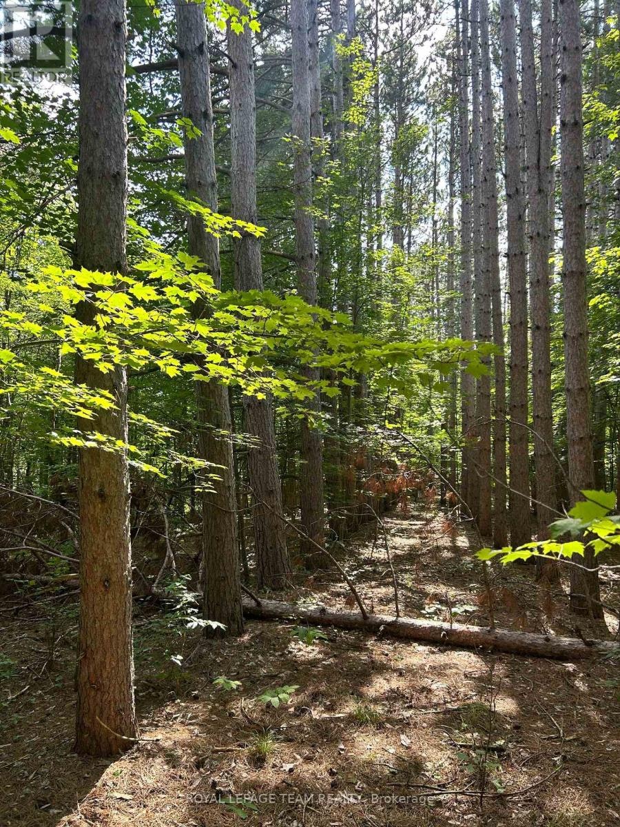 LOT-8 Pond Road, Tay Valley, ON, K0H 2B0