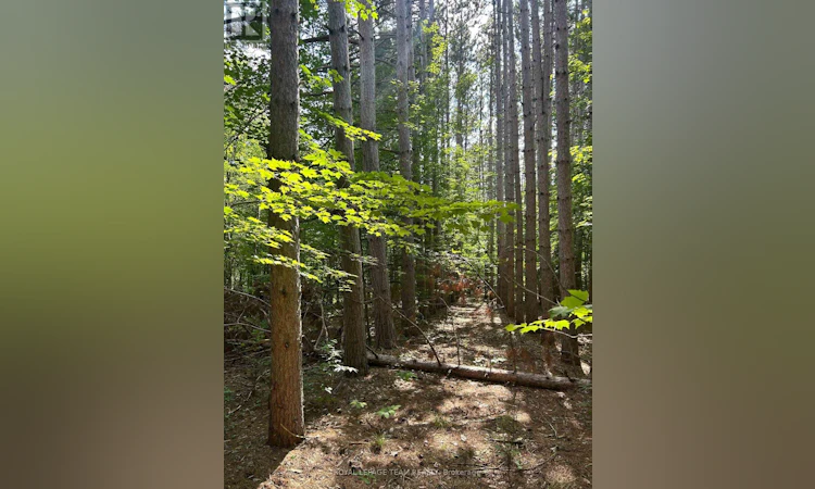 LOT-8 Pond Road