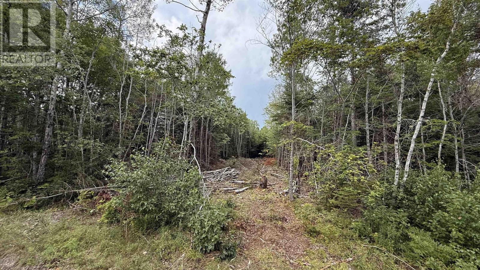 Lot S-2 Miner Meadow Road, Sunken Lake, NS, B4P 2R2