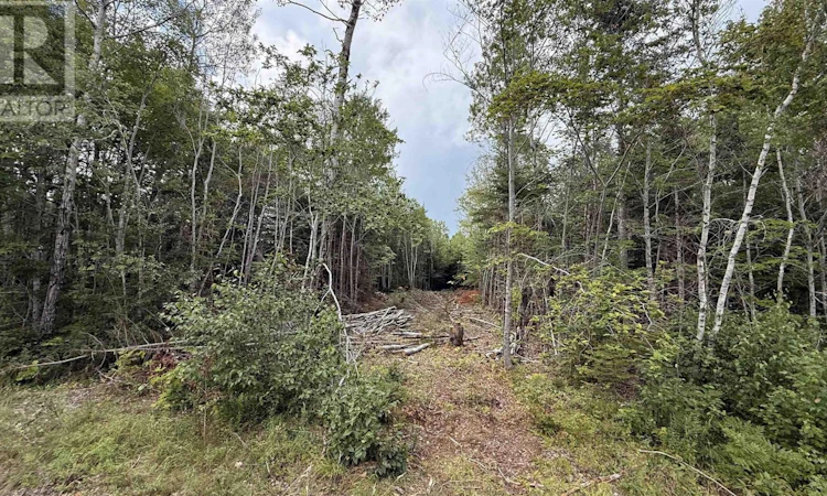 Lot S-2 Miner Meadow Road